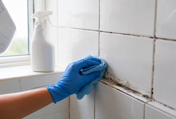 person told me how to clean shower mold